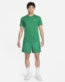 Мужская футболка Nike Sportswear Club (AR4997-365)