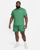 Мужская футболка Nike Sportswear Club (AR4997-365)