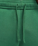 Мужские брюки Nike Sportswear Club Fleece (BV2671-341)