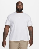 Мужская футболка Nike Sportswear Premium Essentials (DO7392-101)