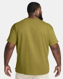 Мужская футболка Nike Sportswear Premium Essentials (DO7392-307)