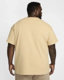 Мужская футболка Nike Sportswear Premium Essentials (DO7392-252)