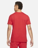 Мужская футболка Jordan Jumpman (DC7485-687)