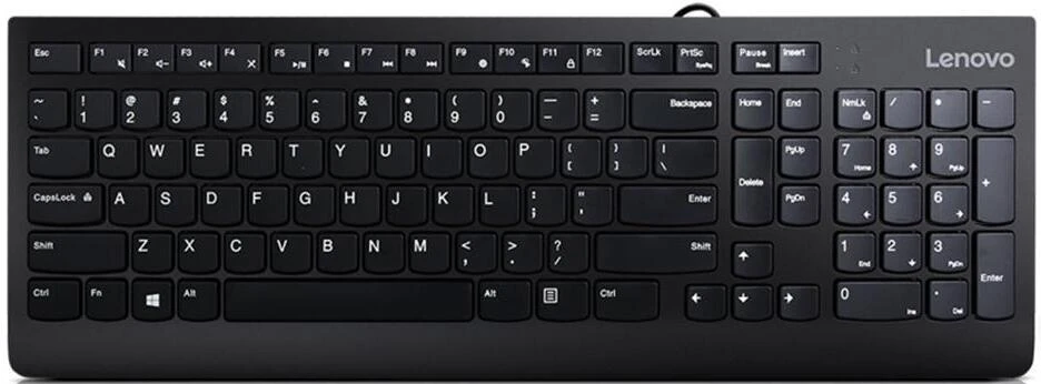 Клавиатура Lenovo 300 USB Keyboard черный (GX30M39655)