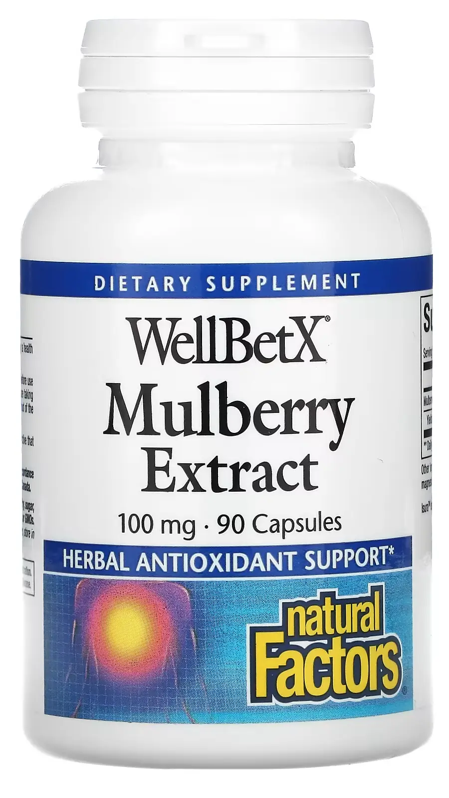 БАД Natural Factors WellBetX, Mulberry Extract, 100 мг, 90 капсул (NFS-03584)